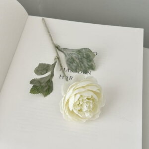   CeA  [ 1{ ͂Ȃ Q   ItBX ̓  a j JXj  EFfBO p[eB[ v[g ʐ^ A[gt