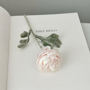   CeA  [ 1{ ͂Ȃ Q   ItBX ̓  a j JXj  EFfBO p[eB[ v[g ʐ^ A[gt