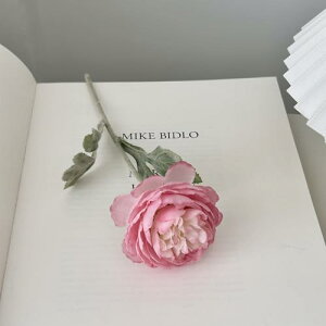   CeA  [ 1{ ͂Ȃ Q   ItBX ̓  a j JXj  EFfBO p[eB[ v[g ʐ^ A[gt