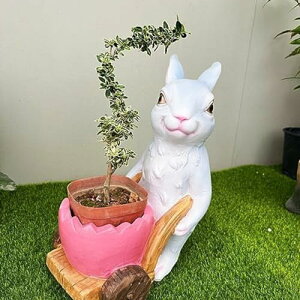 v^[ Aj} |bg A u Aؔ ~͍H|i  w|bg vg|bg  A  ~j _^ ETM^ t[|bg |   C