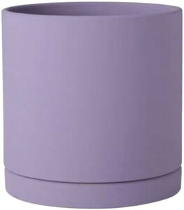 �A�ؔ� ���픫 �v�����g�|�b�g �T�{�e���� �Z���~�b�N�A�ؔ� �~���` �ϗt�A���� �ϗt�A���|�b�g �g���C/�r�����t�� �ʋC �����ꂵ�Ȃ� ������� �V���v�� �k���� �����Ɖ��O�̐A���A�ؔ� ��