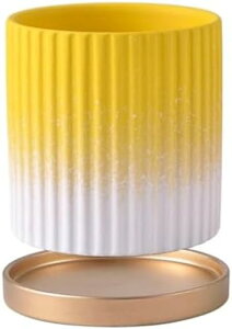 Aؔ  Aؔ  v^[ Jo[   Aؔ  ^ Jo[   Jo[ Mt v^[  Aؔ  v^[