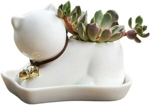 H|i Aؔ  v^[ 󂯎Mt rt 㕗  ϗtA A n[u Ԕ