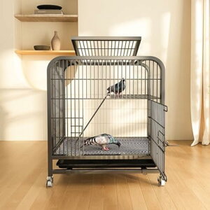   ^ 60×45×66cm IJ CR    ԗ֕t P[W  Ϗܗp ɐBp /Op  O\ȃgCt |₷ CRP[W o[hQ[W