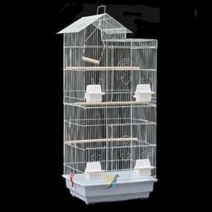  P[W ^ ؃P[W 3iK 傫 CR IEP[W IJ ZLZC {^ RKlLVR RUN }n ER ALNT 100x36x46cm