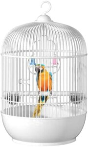  CR    P[W CR ړ P[W ^ ی^  gxP[W o[hP[W JS ȃXy[X P[W P[W ZLZCCR  (A)  