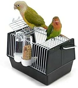  L[P[W  UP[W o o[hLA ̑ Oo p ^ ~܂ a t ړ s h