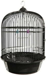   ۂ P[W O  ~܂ JS WIJ ZLZCCR IJCR IE O   IEP[W  ̑   CRP[WW o[hP[