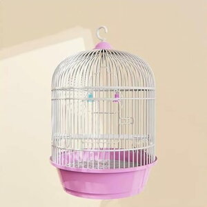 IJCR P[W ی^  GT o[hP[W nht  P[W  Ƃ肩 CeA  ^  ړ  ꂩ񂽂  P[W P[W 䟭 