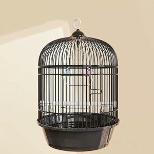 IJCR P[W ی^  GT o[hP[W nht  P[W  Ƃ肩 CeA  ^  ړ  ꂩ񂽂  P[W P[W 䟭 