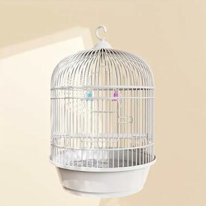 IJCR P[W ی^  GT o[hP[W nht  P[W  Ƃ肩 CeA  ^  ړ  ꂩ񂽂  P[W P[W 䟭 