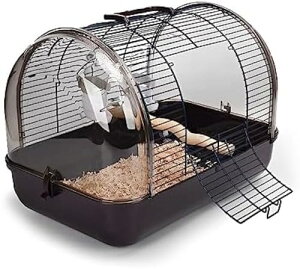   L[P[W UP[W CR P[W o[hQ[W ^   P[W P[W ̑ Oo   P[W p ^ t pi gݗ