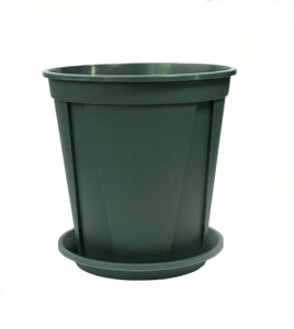 |pvX`bN^VvʋCt[|bg (5,15cm)