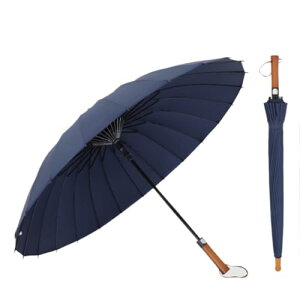 P fB[X Y aP ԎP JP amP y ϕ 24{ OXt@Co[ Jp ؐ茳  [|[`t