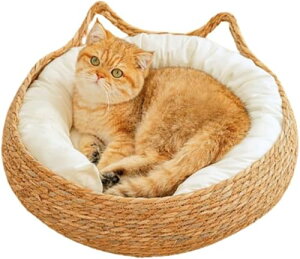 Lpxbh xbh K} ҂ ^ ybgxbh i` ҂ ʋC I[V[Y (L,x[W)