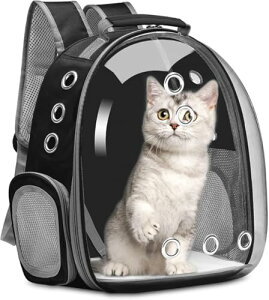 ybgL[obO LL[ Lp FDJvZ^ bNTbN sybgobO  o UVJbgO΍^ ʋC e ϋv S ܂肽 pbht (