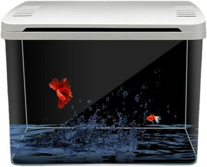 Ϗ܋ ی^AxvX`bNAANAϗtAApeAe[uAɔATCYrOK[fAAvX`bNT (29*19*26cm)