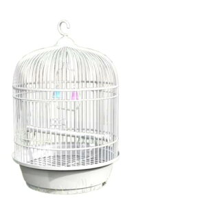 Ƃ̎gp̂߂̏̐RIȉ|̒̊O̒̃g̃VNÑIE̐^̕ (23.5*37cm,ubN)