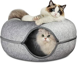 Lpxbh h[icLbggl OĐ􂦂Lpxb ^ɓKxbh pLgl lG܁X (ZDF,M)