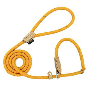 ybgp Xbv [h [v ^A^A^A^AALp - 1.5m