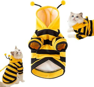 r[hbÕRX`[ - ybg̃nEBRX`[,_炩q킢t[htR[gNX}XߑRXvg^qLqp