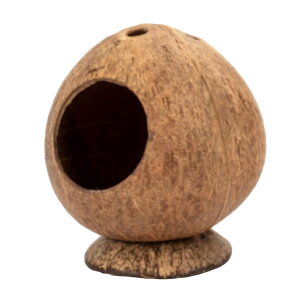 nX^[P[Wybg̉BƂ̑̉ƃbgX