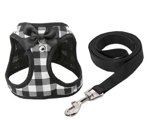 [h n[lX 2_Zbg L TVc   ybgpi ^ ^  L m LbgEFA hbOEFA Pink XS