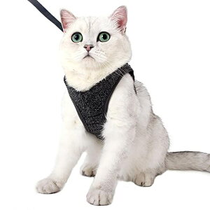 Lpn[lX  S L[h ybgpx[VbN s⏕ h~ Eh~ y51 g(S, sN)