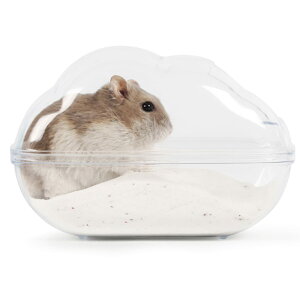 nX^[oX[ nX^[ C ʏ ELgC poX^u gC ̕ pV[[ P[WANZT[ }EX nX^[ lY~Ȃǂɑ