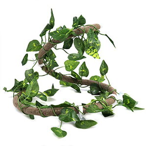 ঒ޓoR}  lH _ zՕt ঒ނ̂  (+N[p[[X)