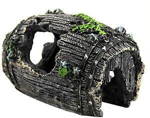 ̑ IuWF B ق̑  I[ig 9.5x6x5cm Cmp  H|i M  ANAE CeA  ^N u ̉B