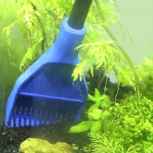 N[i[ XN[p[ ANAE | S~Thtb^[ |pi  @\ ^N N[jOuV S~ 5 Zbg