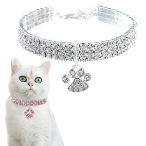 ybg  L  IV EȒPy ybg FI\ LL ybgpi a  ~j p lH_Ch L  j p[eB[ ߉\ j S