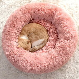 ybg}bg ybgxbh ybgEh L̃xbh Lxbh}bg/̃xbh xbh L̃\t@xbh NbVJo[