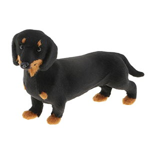 Aȃ~j`Atg/nXL[ui, X^C2