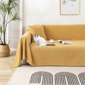 \t@Jo[ H L΍ }`Jo[  n ` 3l| 1l 2l 4l| \t@[Jo[ ~ ܂Ƃh~ hoJo[ xbhJo[ ֎qO | }`NX 