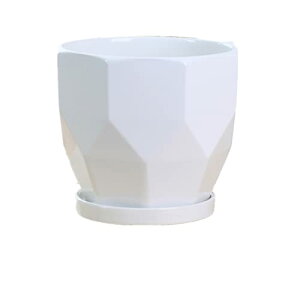 Aؔ 픫 v^[ 󂯎Mt t   A CeA Vv ~` ϗp 㕗Vv ItBX  x_ ϗtA A(Medium,AzC