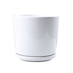 Aؔ 픫  CeA AؔZbg Z~bNv^[ OAp }bgzCg ~ Aؔ 󂯎MƔrt v^[ Z~bNی^A|bg  