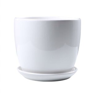 Aؔ 픫  CeA AؔZbg Z~bNv^[ OAp }bgzCg ~ Aؔ 󂯎MƔrt v^[ Z~bNی^A|bg  