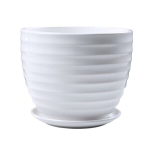 Aؔ 픫  CeA AؔZbg Z~bNv^[ OAp }bgzCg ~ Aؔ 󂯎MƔrt v^[ Z~bNی^A|bg  