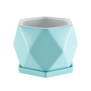 픫 Aؔ ?F   ϗtA Mt v^[  ꌊt  v^[ CeA Vv TCY/FI (u[,L) [sAi]