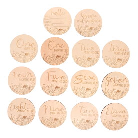14個製ベビーマイルストーンカード マイルストーンフォトプロップ
