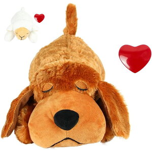 q̂̃n[gr[g̊g[jOʂ݌̂ n[gr[ĝ ʂ S Ȃ߂ s ⏕  ݂ ybg