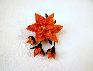 s̓Ȃǂ̃v[gɁtgR`|gIhhJ̃t[u[`FIWyRCPz