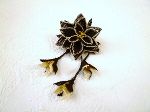 s̓̃v[gɁtgR`|gIhhJ̃t[u[`FuExx[WyRCPz