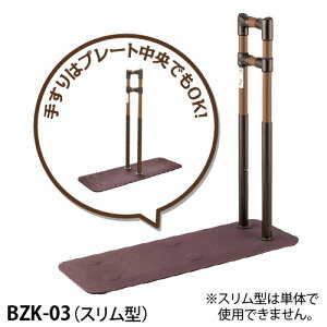 }cZ 惌[ u萠 SOTOE Ў肷 BZK-03