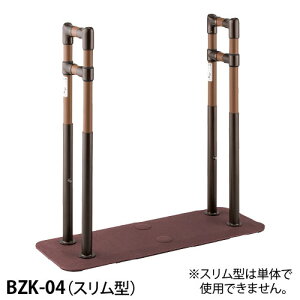 }cZ 惌[ u萠 SOTOE 肷 BZK-04