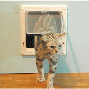 TJCybgY tbvhA@CF-S zCg