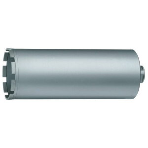 nEXBM _ChRArbg(]p)  CbhlW̌^rbg 100 DB-100C