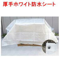 アイネット　厚手ホワイトカラー　#3000 約1.7x2.6m(1間x1.5間) (#3000ブルーシートのナチュラルカラー) …